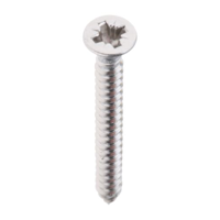ksa/images/productimages/aetronix-saudi/tapping-screw/rs-pro-self-tapping-screw-6-stainless-steel-32-mm.webp