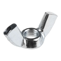 ksa/images/productimages/aetronix-saudi/wing-nut/rs-pro-wingnut-m5-steel-24-mm.webp