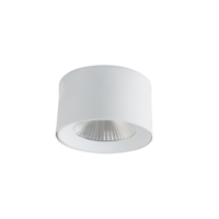 ksa/images/productimages/al-adwaa-factory-for-lighting-fixtures/downlighting-fixtures/ceiling-mount-cylindrical-down-light-l3000-220-to-240-v-50-to-60-hz.webp