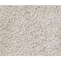 ksa/images/productimages/al-takadom-marble-&-granite-factory./granite/beige-limestone-bush-hammered.webp