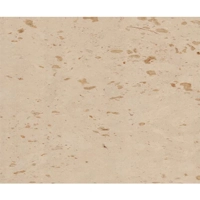 ksa/images/productimages/al-takadom-marble-&-granite-factory./granite/beige-limestone.webp
