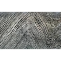 ksa/images/productimages/alamin-marble-company/marble/ornet-marble-14987-black-with-gray-veins.webp