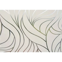 ksa/images/productimages/alqasr-glass-industrial-company/sandblasted-glass/sandblasted-glass.webp