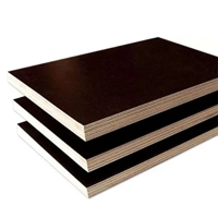 ksa/images/productimages/asala-wood/plywood/film-faced-plywood-board-244-cm.webp