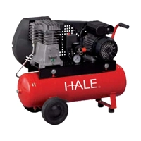 ksa/images/productimages/assugor-industrial-equipment-co.-ltd/air-compressor/hale-n2-8-25c-2m-cylinder-compressor-230-v-1400-rpm.webp