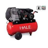 ksa/images/productimages/assugor-industrial-equipment-co.-ltd/air-compressor/hale-n2-8-50c-2m-cylinder-compressor-230-v-1400-rpm.webp