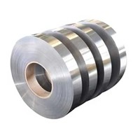 ksa/images/productimages/baz-international-industry-company./metal-strip/cold-rolled-metal-strips-0-5-1-2-mm.webp
