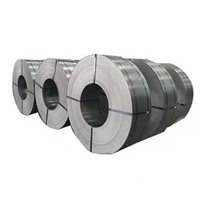 ksa/images/productimages/baz-international-industry-company./metal-strip/hot-rolled-metal-strips-0-80-5-mm.webp