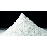 ksa/images/productimages/bms-factories-(gharbalah-industrial-company)/hydrated-lime/hydrated-lime-50-kg-per-bag.webp