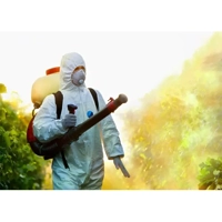ksa/images/productimages/bvgi-arabia/structural-pest-control/reactive-pest-control-service.webp