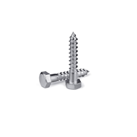 ksa/images/productimages/canyon-engineering-contracting-company/lag-bolt/lag-bolt.webp