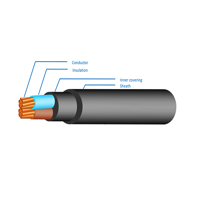 ksa/images/productimages/capital-cables-company/power-cable/pvc-insulated-pvc-sheathed-pvc-two-cores-cables.webp