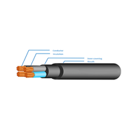 ksa/images/productimages/capital-cables-company/power-cable/pvc-insulated-pvc-sheathed-round-type-pvc-four-cores-cables.webp