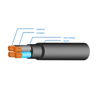 ksa/images/productimages/capital-cables-company/power-cable/pvc-insulated-pvc-sheathed-three-and-half-cores-cables.webp