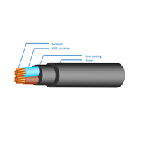 ksa/images/productimages/capital-cables-company/power-cable/xlpe-insulated-pvc-sheathed-xlpe-two-core-cables.webp