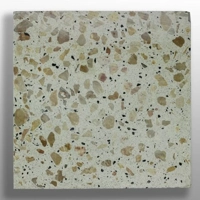 ksa/images/productimages/construction-material-company/terrazzo-tile/bf14-tiles.webp