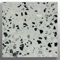 ksa/images/productimages/construction-material-company/terrazzo-tile/mm24-tiles.webp