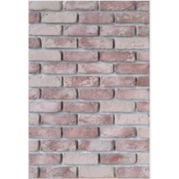ksa/images/productimages/dahdouh-artificial-stone-factory/stone-brick/ur-21-natural-sustainable-bricks-6-5-cm-21-5-cm-18-20-mm.webp