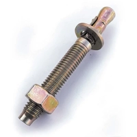 ksa/images/productimages/dar-assaad-trading-est./wedge-anchor/yellow-zinc-plated-wedge-anchor-520.webp