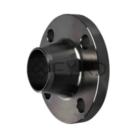 ksa/images/productimages/defaultimages/noimageproducts/carbon-steel-weld-neck-flange.webp