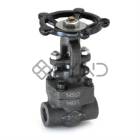 ksa/images/productimages/defaultimages/noimageproducts/forged-carbon-steel-gate-valve-0-25-to-2-in.webp