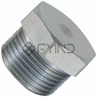ksa/images/productimages/defaultimages/noimageproducts/nippon-stainless-steel-forged-plug.webp