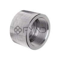 ksa/images/productimages/defaultimages/noimageproducts/stainless-steel-thread-type-end-cap.webp