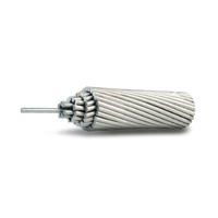 ksa/images/productimages/elsewedy-electric/power-cable/aluminum-steel-reinforced-overhead-conductor-rail-0-0597-ohm-km.webp