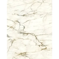 ksa/images/productimages/future-entity-company-for-marble-and-porcelain/porcelain-slab/italian-calacatta-macchia-vecchia-porcelian-slab.webp