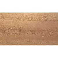 ksa/images/productimages/green-building-solutions/composite-panel/econic-clay-bipv-rammed-earth-wall-red.webp