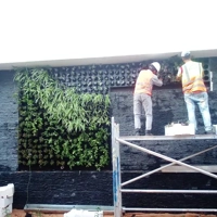 ksa/images/productimages/green-wavs-landscaping-company/vertical-gardening-service/green-wall.webp