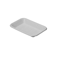 ksa/images/productimages/hotpack-arabia-industries-company/disposable-food-tray/rectangular-plastic-tray-no-2-v2-10-kg-crtn.webp