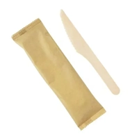 ksa/images/productimages/hotpack-arabia-industries-company/knife/wooden-knife-wrapped-500-pcs-crtn.webp