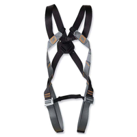 ksa/images/productimages/house-of-tools-&-machinery/safety-harness/basic-duo-harness-2-attacks-kapriol-376144.webp