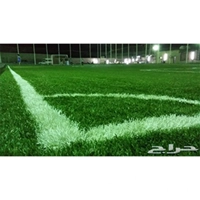 ksa/images/productimages/iron-technology-factory/artificial-turf/artificial-turf.webp