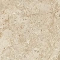 ksa/images/productimages/ishbilia-marble/marble/cremo-light-marble.webp