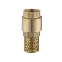 ksa/images/productimages/mashreq-al-jawdah-trading-est./foot-valve/brass-foot-valve-stainless-steel-filter.webp