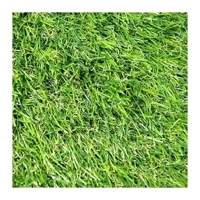 ksa/images/productimages/mattex-fabrics/artificial-turf/premier-landscape-artificial-grass-boulevard-ds-20-to-50-mm.webp