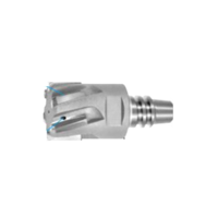 ksa/images/productimages/metal-industries-technology/reamer-head/top-cut-ream-reaming-heads-239710.webp
