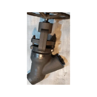 ksa/images/productimages/middle-east-valve/globe-valve/dn15-to-dn250-y-type-globe-valve.webp