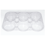ksa/images/productimages/munipack/disposable-food-tray/pet-clear-6-cavity-yoghurt-trays-130-g.webp