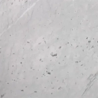 ksa/images/productimages/narjes-company-for-natural-marble-and-granite/marble/bianco-gioia-marble-white.webp