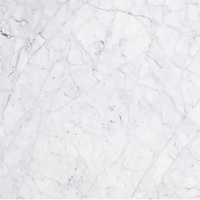 ksa/images/productimages/narjes-company-for-natural-marble-and-granite/marble/gioia-venato-marble-white.webp