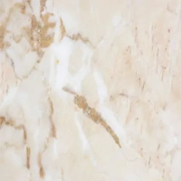 ksa/images/productimages/narjes-company-for-natural-marble-and-granite/marble/yellow-porto-opium-marble.webp