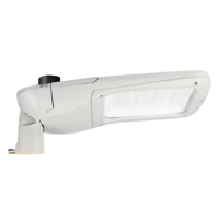 ksa/images/productimages/pan-lighting/street-light/pan-lighting-pnsl110-30w-led-street-light-30-w-450-mm.webp