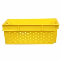 ksa/images/productimages/plasco-for-plastic-industries/plastic-crate/dates-crate.webp