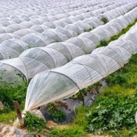 ksa/images/productimages/plasco-for-plastic-industries/plastic-film/disposable-tunnel-roll-film.webp