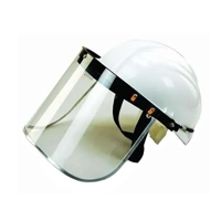 ksa/images/productimages/rajwan-international/facial-shield/face-shield-with-helmet.webp