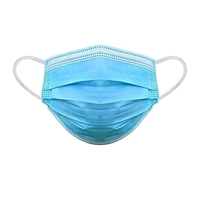 ksa/images/productimages/rajwan-international/mask/surgical-mask.webp