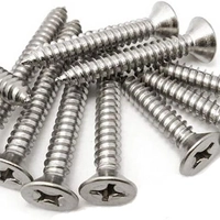 ksa/images/productimages/riyadh-al-nobla-trading/tapping-screw/flat-head-screws.webp